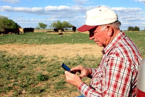 Rancher composing a quick email on his phone near the corral