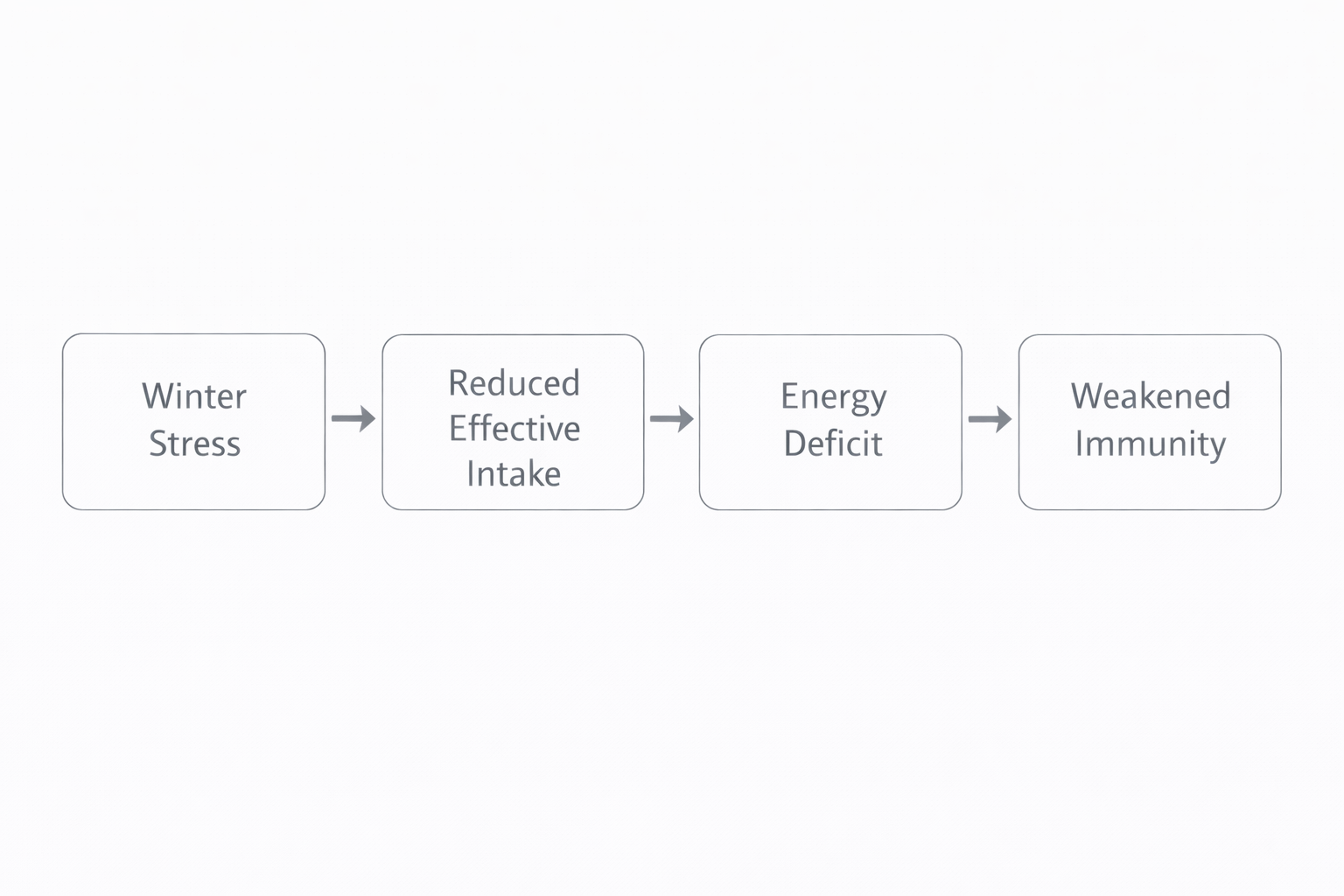 Diagram showing the stress–intake–immunity chain